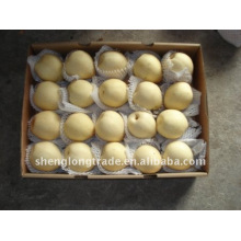 chinese fresh Ya pears 18kg carton packing